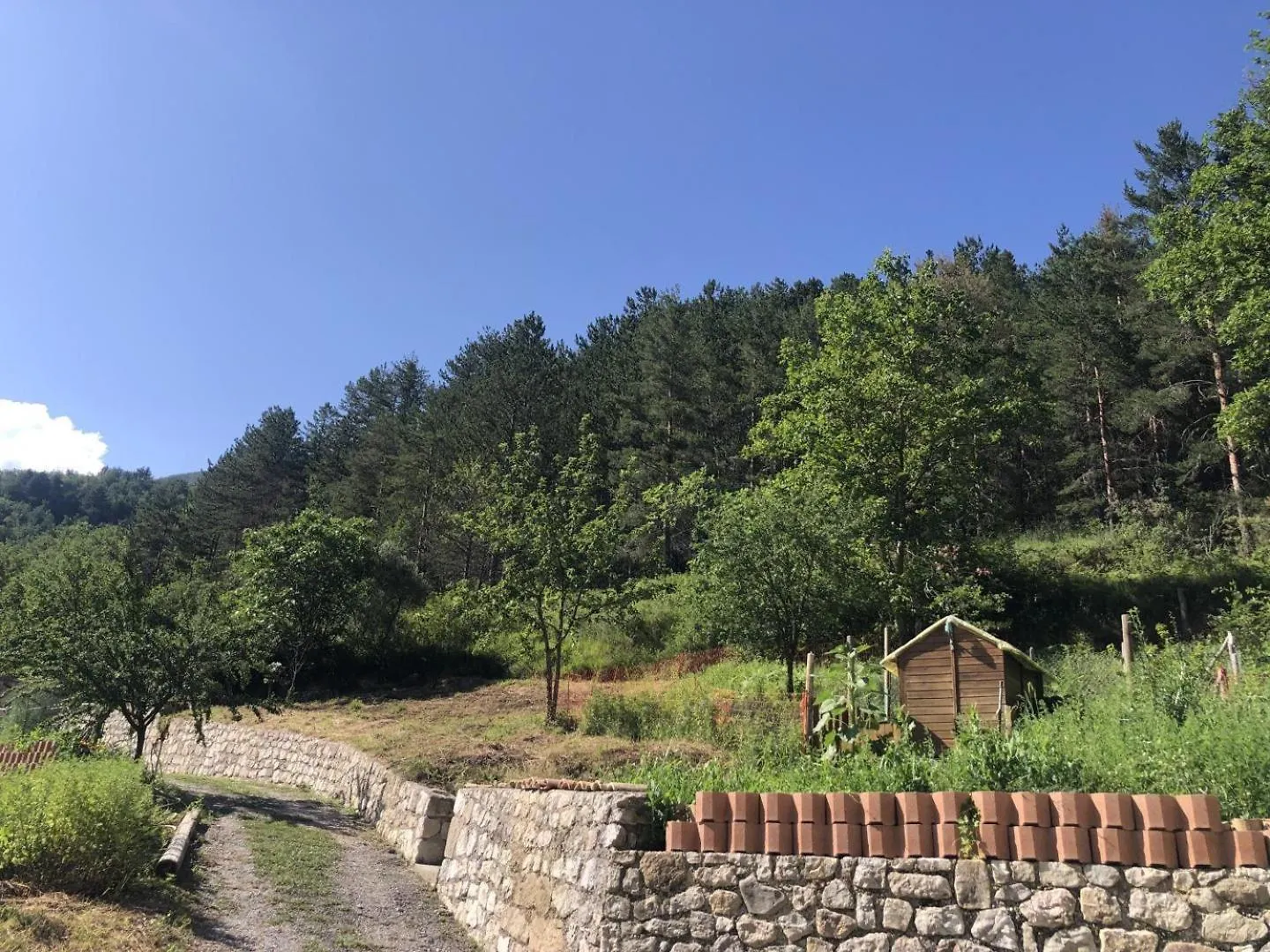別荘 Gite Du Grand Braquet Puget-Théniers